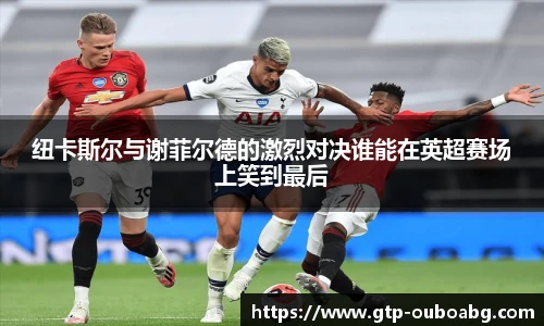 纽卡斯尔与谢菲尔德的激烈对决谁能在英超赛场上笑到最后